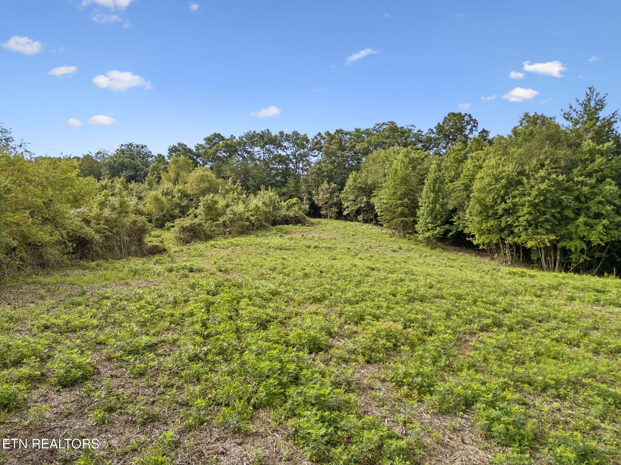 3 Rd Robbins Tn 37852 Robbins, TN 37852 - Photo 5 of 14 5-1 Sheep Ranch Rd Lot 3 - 005