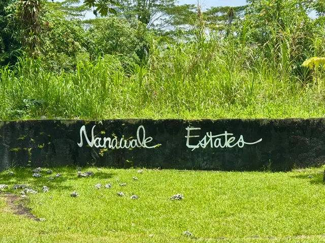 $8,000 | 235 Hapuu Road, Pahoa, HI 96778