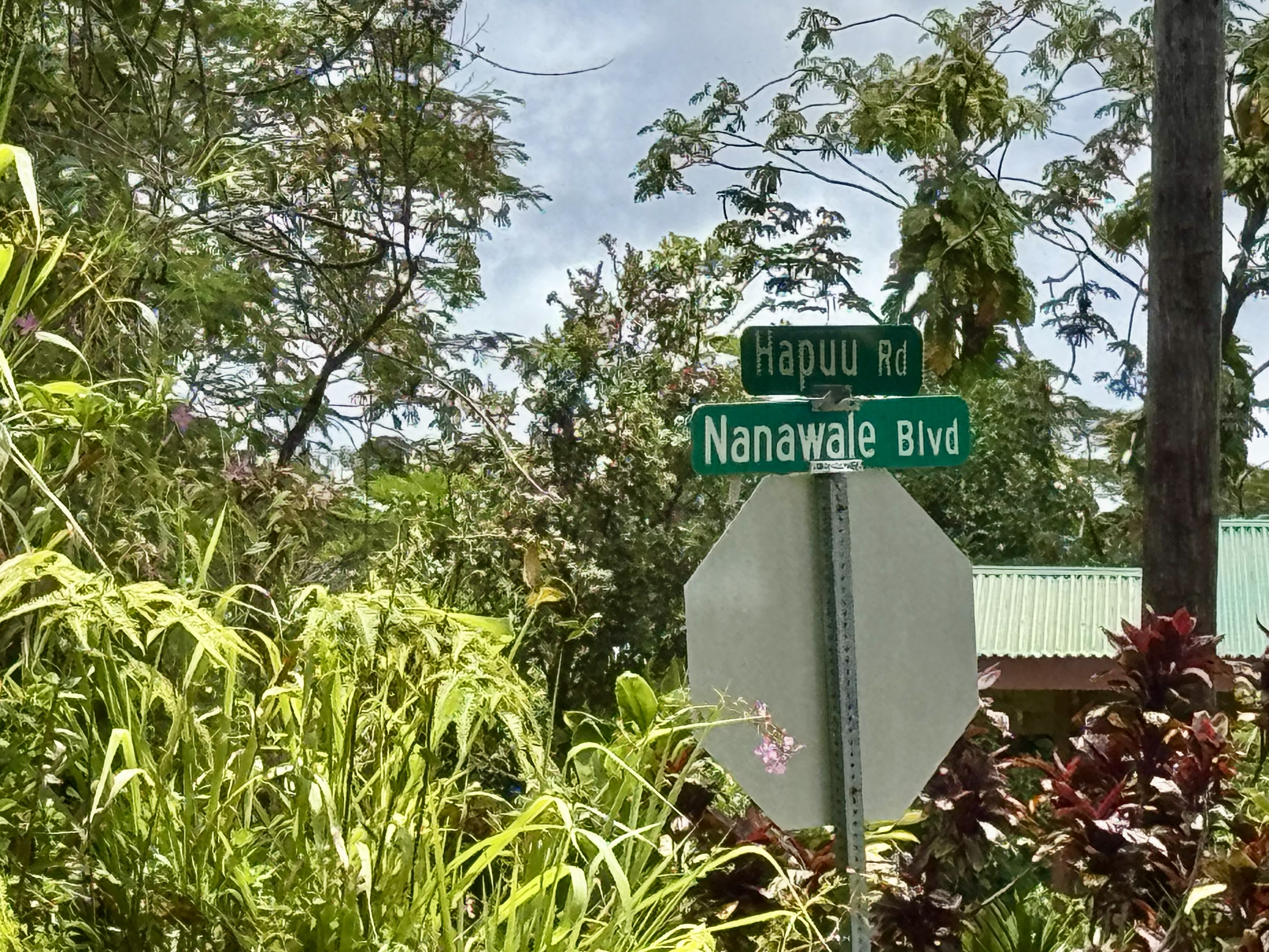 235 Hapuu Road Pahoa, HI 96778 - Photo 3 of 8