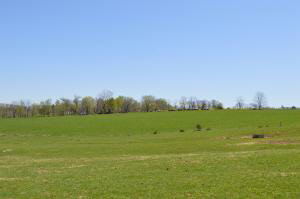 0 Wallner Quarry Road Bedford, IN 47421 - Photo 4 of 5 Gallery Image 4