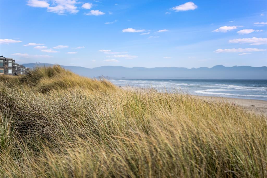 101 Shell Road, Unit 290 Watsonville, CA 95076 - Photo 25 of 26 a view of an lake and a mountain