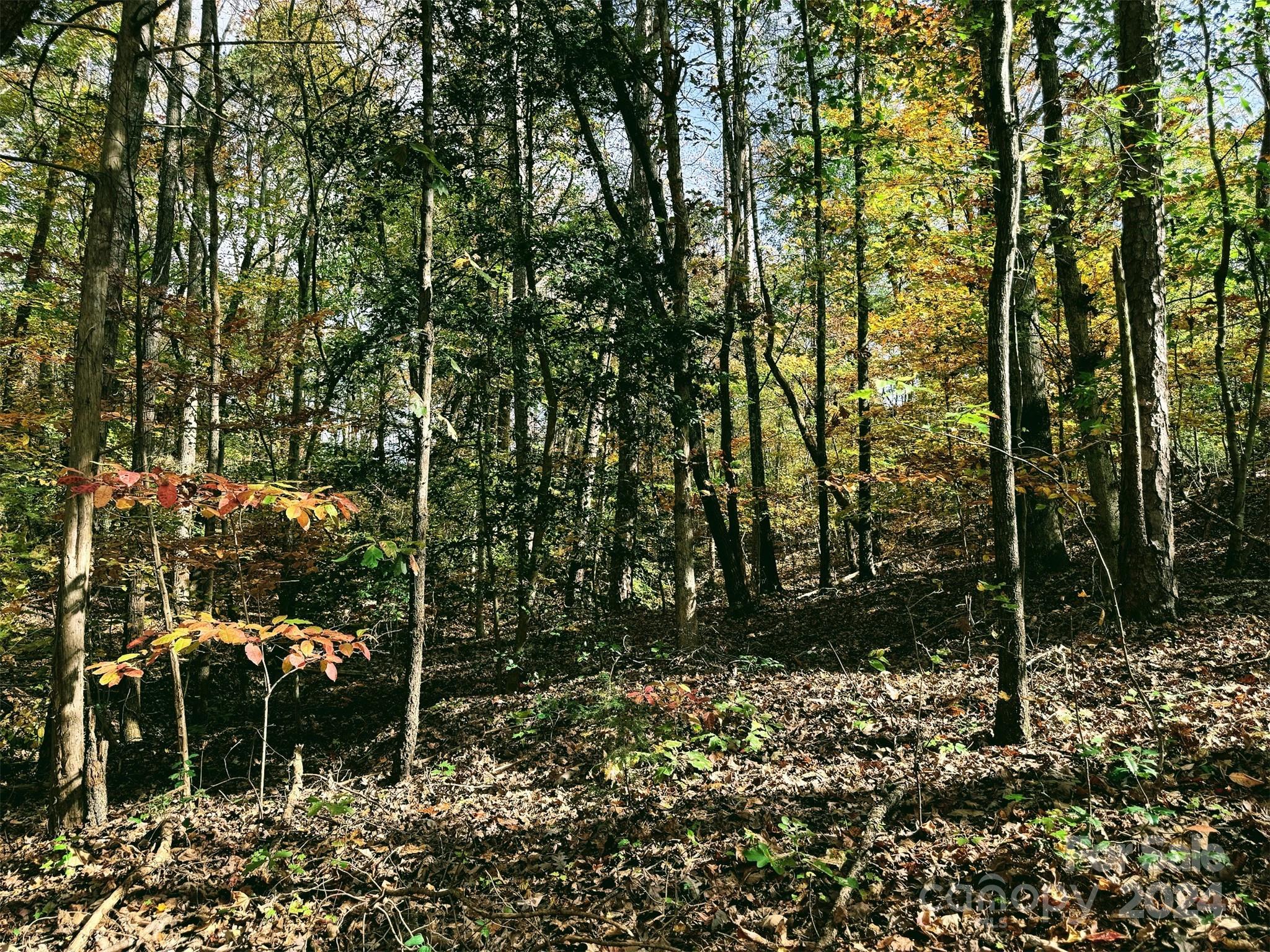 3100 Madison Lane Denver, NC 28037 - Photo 24 of 27