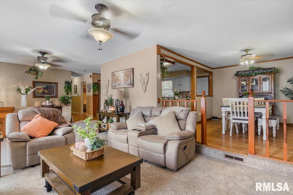 5260 River View Road Riverton, IL 62561 - Photo 6 of 34