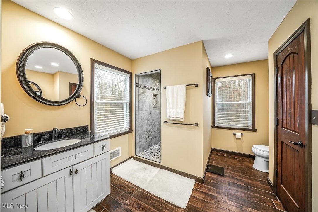 17808 Nash Road Middlefield, OH 44062 - Photo 24 of 43 Full bath with dark wood-type flooring, vanity, walk in shower, plenty of natural light, and recessed lighting