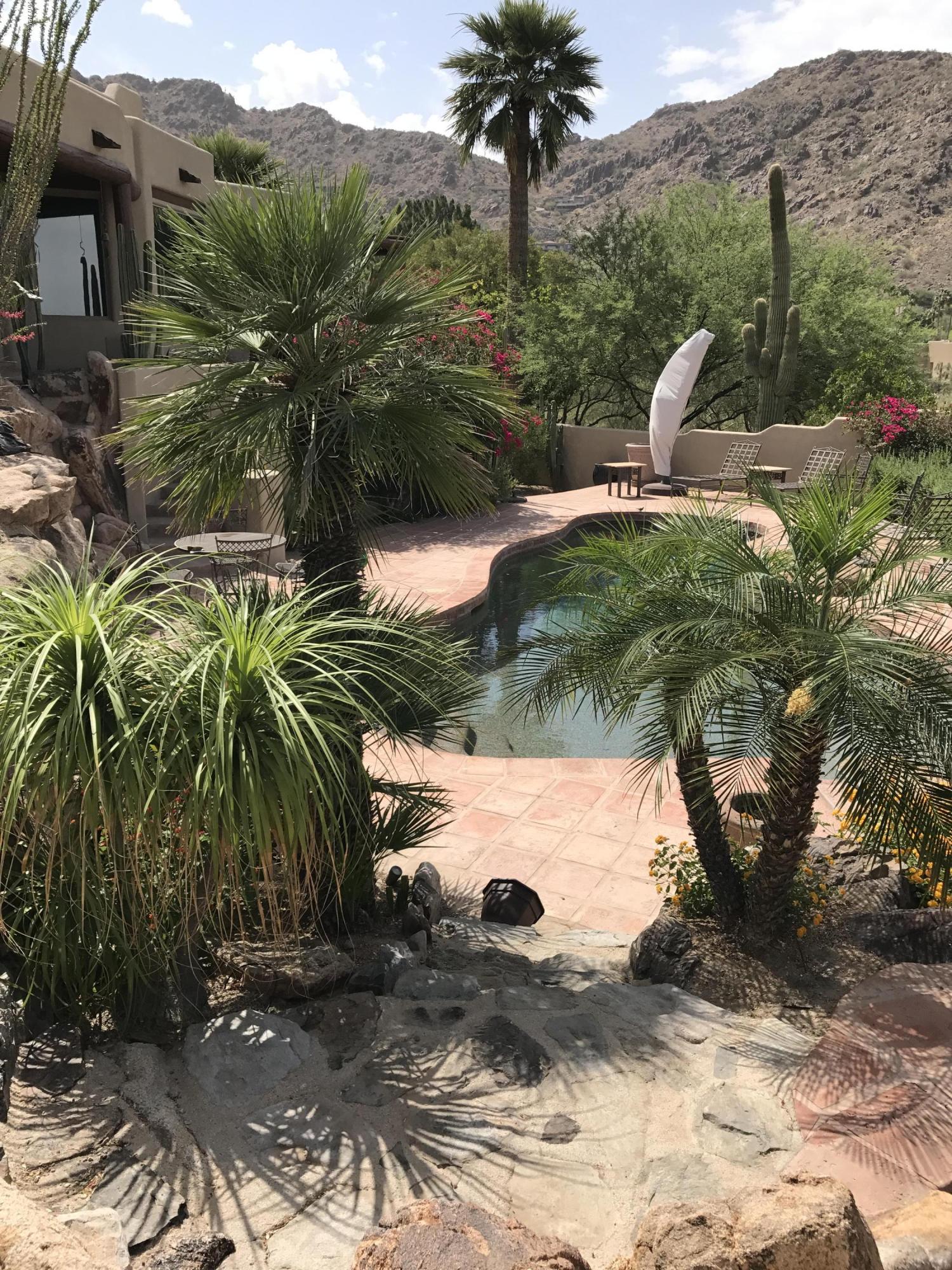 Lush desert