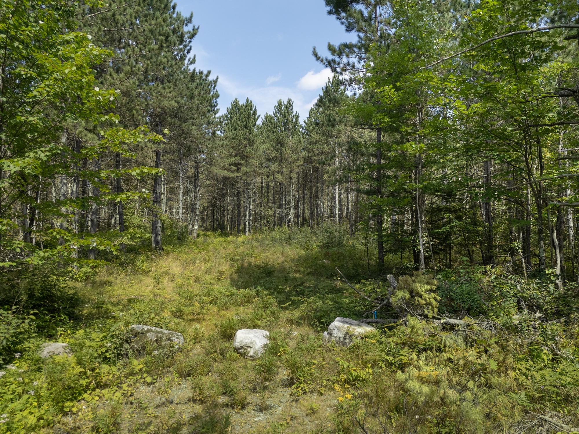 On Hay Meadow Road Rhinelander, WI 54501 - Photo 16 of 20 Gallery Image 16