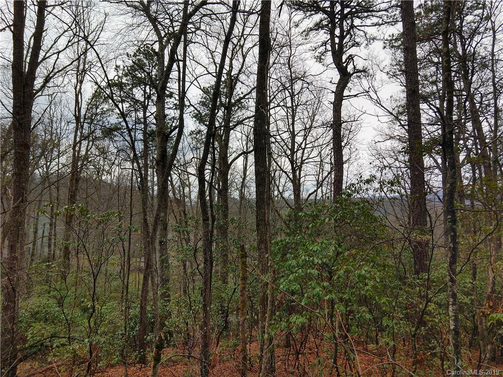 99999 Dode Whitaker Road, Unit 3 Fairview, NC 28730 - Photo 2 of 48 Gallery Image 2