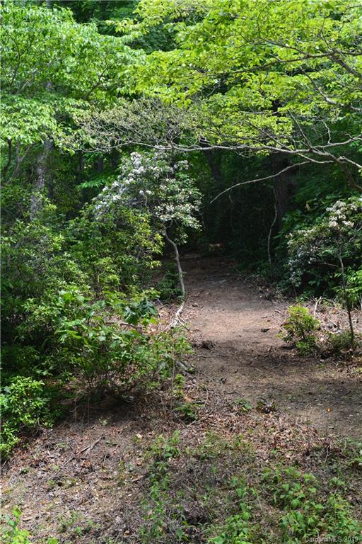 99999 Dode Whitaker Road, Unit 3 Fairview, NC 28730 - Photo 11 of 48 Gallery Image 11