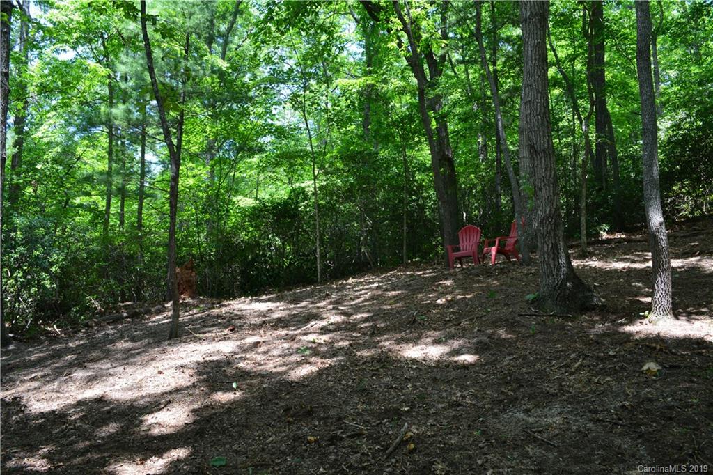 99999 Dode Whitaker Road, Unit 3 Fairview, NC 28730 - Photo 13 of 48 Gallery Image 13
