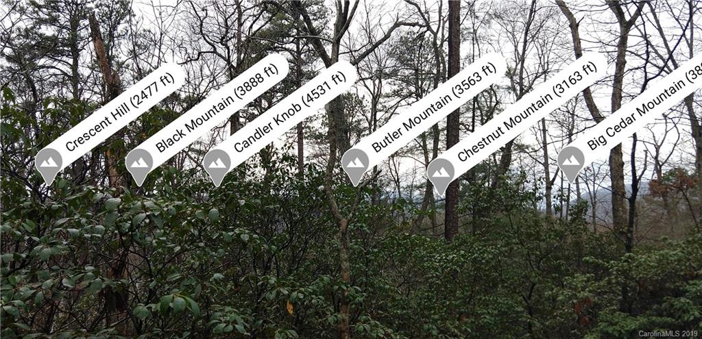 99999 Dode Whitaker Road, Unit 3 Fairview, NC 28730 - Photo 14 of 48 Gallery Image 14