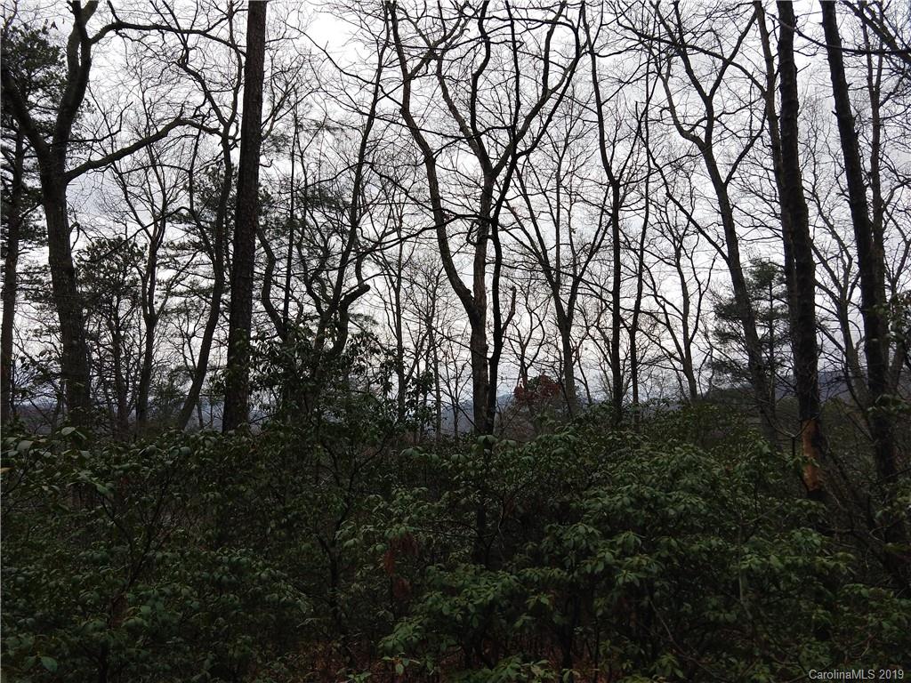 99999 Dode Whitaker Road, Unit 3 Fairview, NC 28730 - Photo 15 of 48 Gallery Image 15