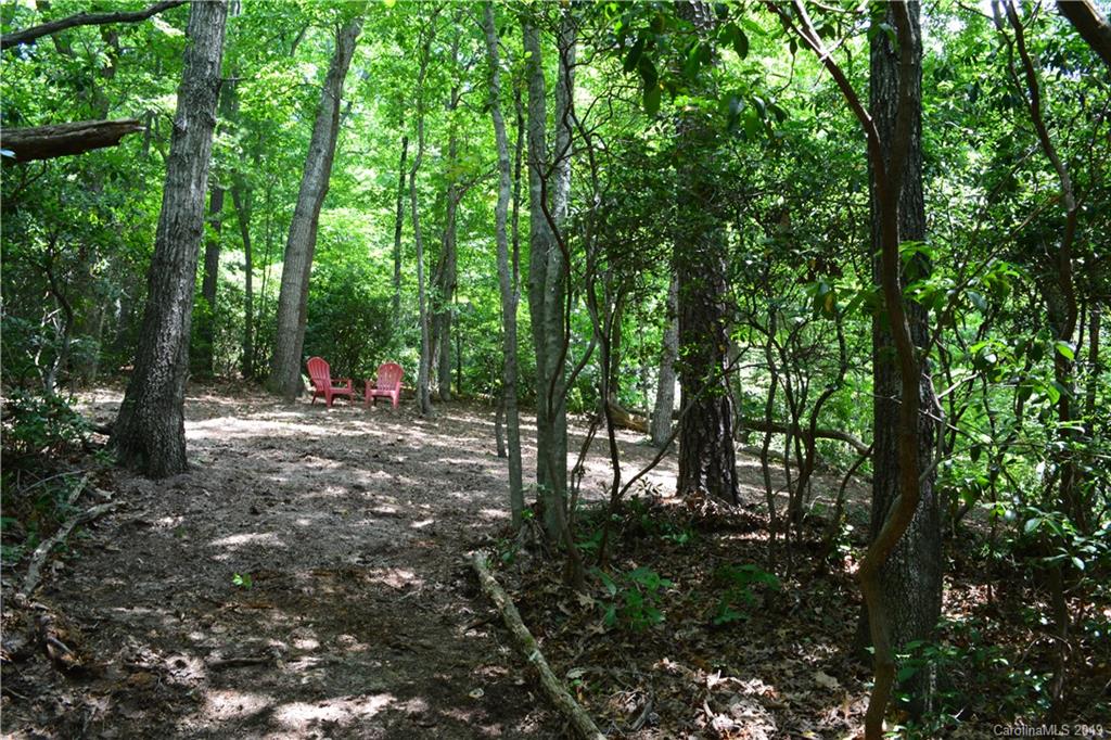 99999 Dode Whitaker Road, Unit 3 Fairview, NC 28730 - Photo 17 of 48 Gallery Image 17