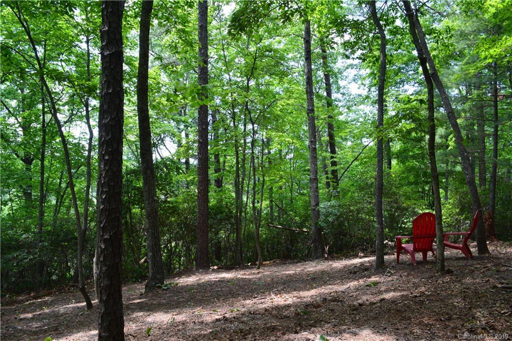 99999 Dode Whitaker Road, Unit 3 Fairview, NC 28730 - Photo 20 of 48 Gallery Image 20