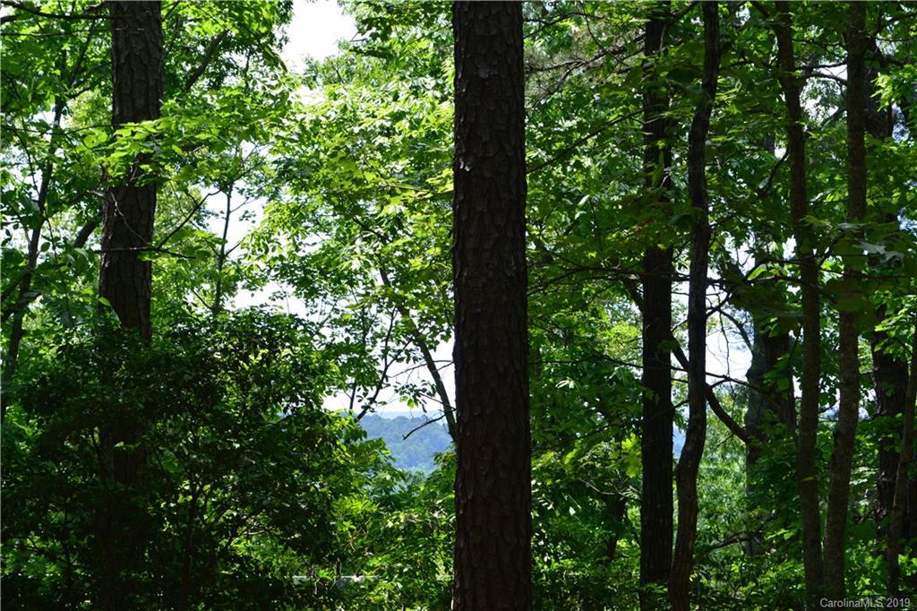 99999 Dode Whitaker Road, Unit 3 Fairview, NC 28730 - Photo 24 of 48 Gallery Image 24