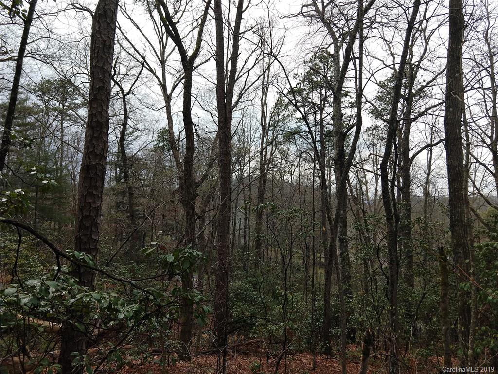 99999 Dode Whitaker Road, Unit 3 Fairview, NC 28730 - Photo 29 of 48 Gallery Image 29