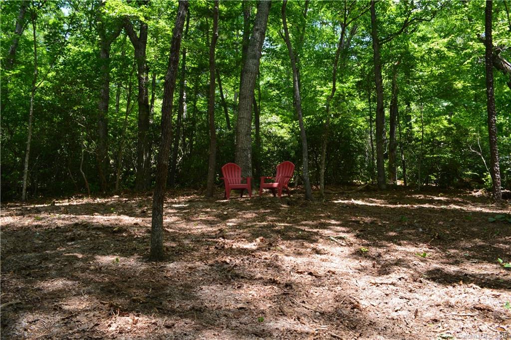 99999 Dode Whitaker Road, Unit 3 Fairview, NC 28730 - Photo 41 of 48 Gallery Image 41