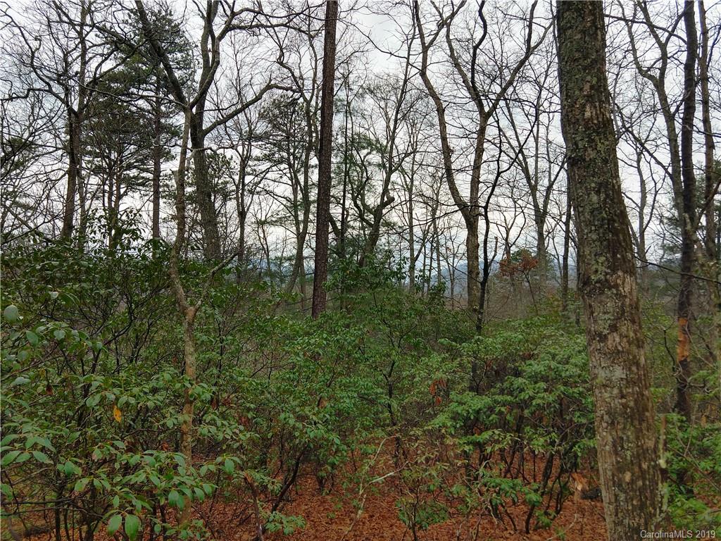 99999 Dode Whitaker Road, Unit 3 Fairview, NC 28730 - Photo 44 of 48 Gallery Image 44