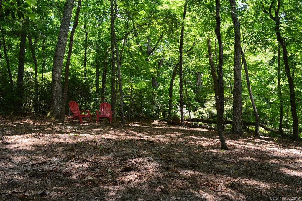 99999 Dode Whitaker Road, Unit 3 Fairview, NC 28730 - Photo 47 of 48 Gallery Image 47