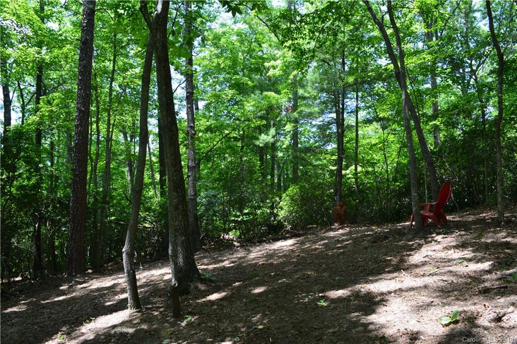 99999 Dode Whitaker Road, Unit 3 Fairview, NC 28730 - Photo 7 of 48 Gallery Image 7