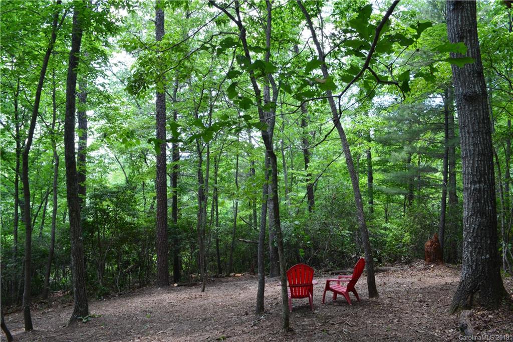 99999 Dode Whitaker Road, Unit 3 Fairview, NC 28730 - Photo 9 of 48 Gallery Image 9