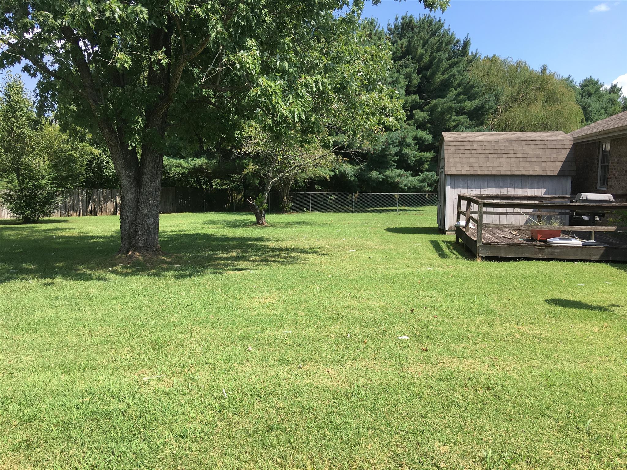 103 Raspberry Lane Smyrna, TN 37167 - Photo 3 of 4 Gallery Image 3