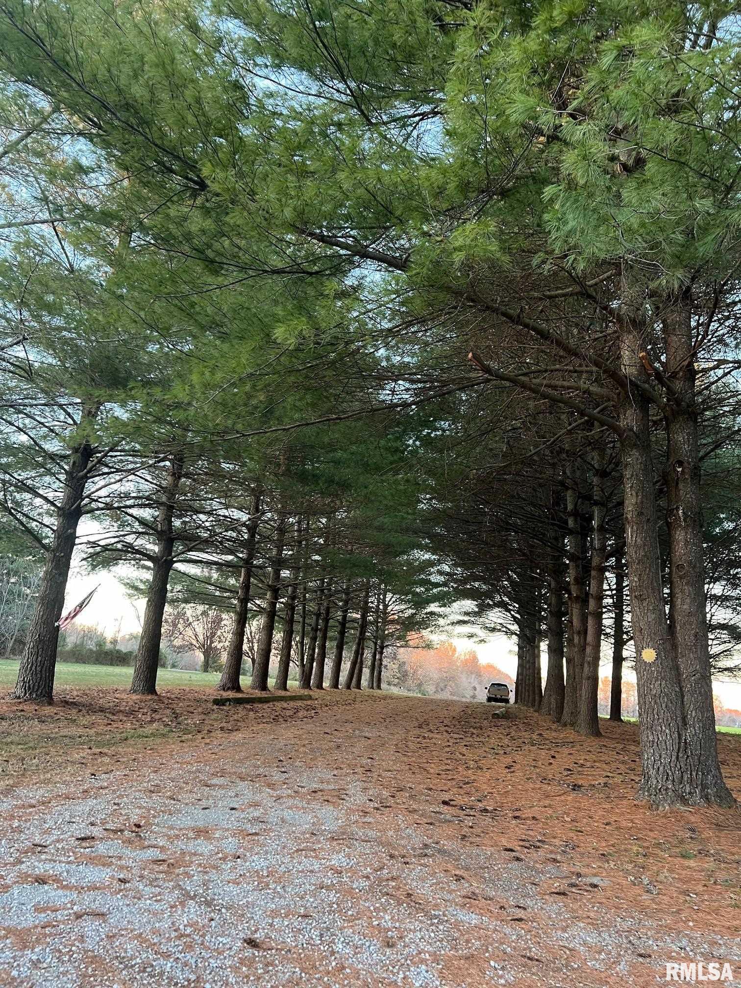 14052 Summer Road Benton, IL 62812 - Photo 13 of 41