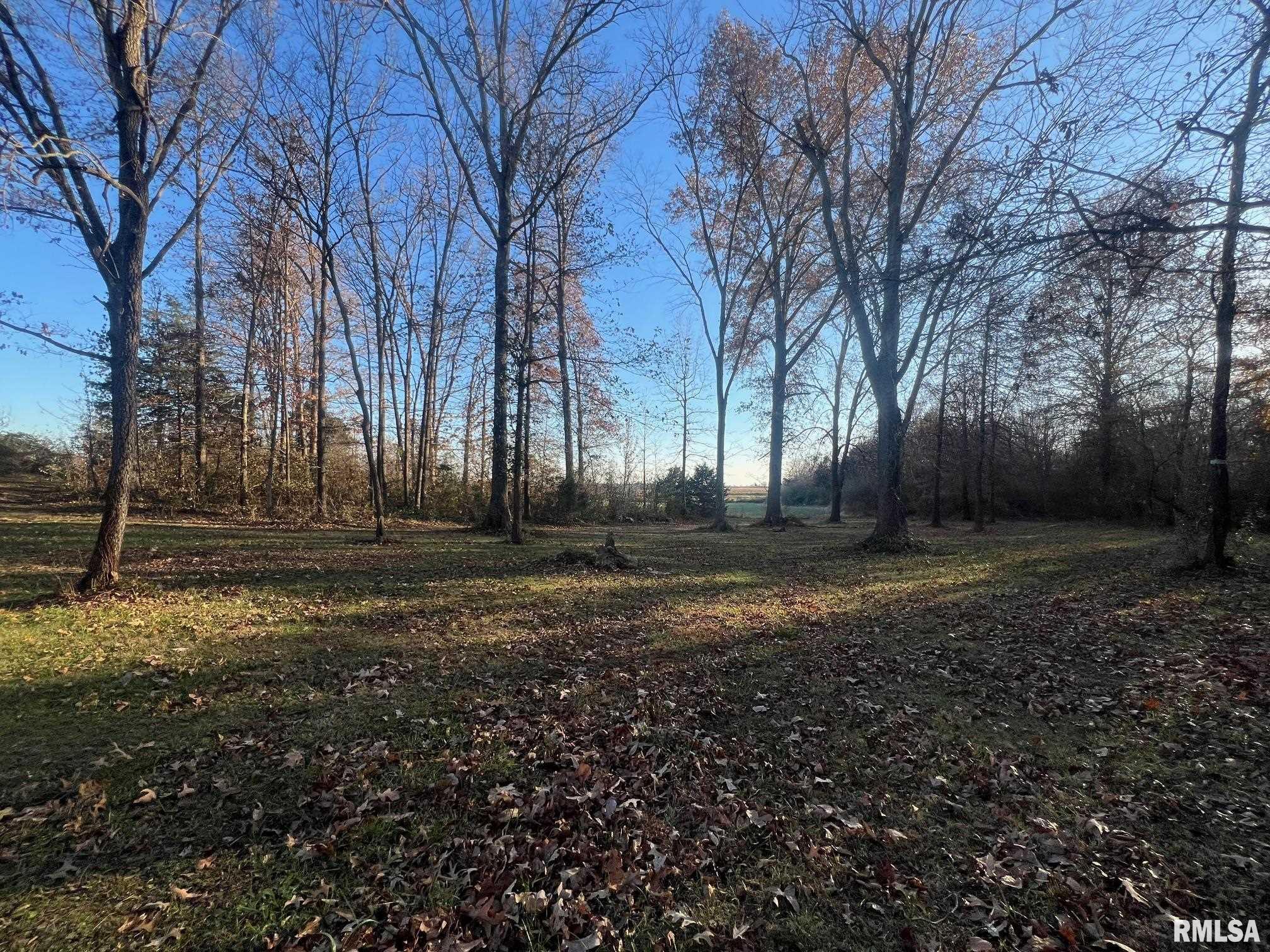 14052 Summer Road Benton, IL 62812 - Photo 39 of 41