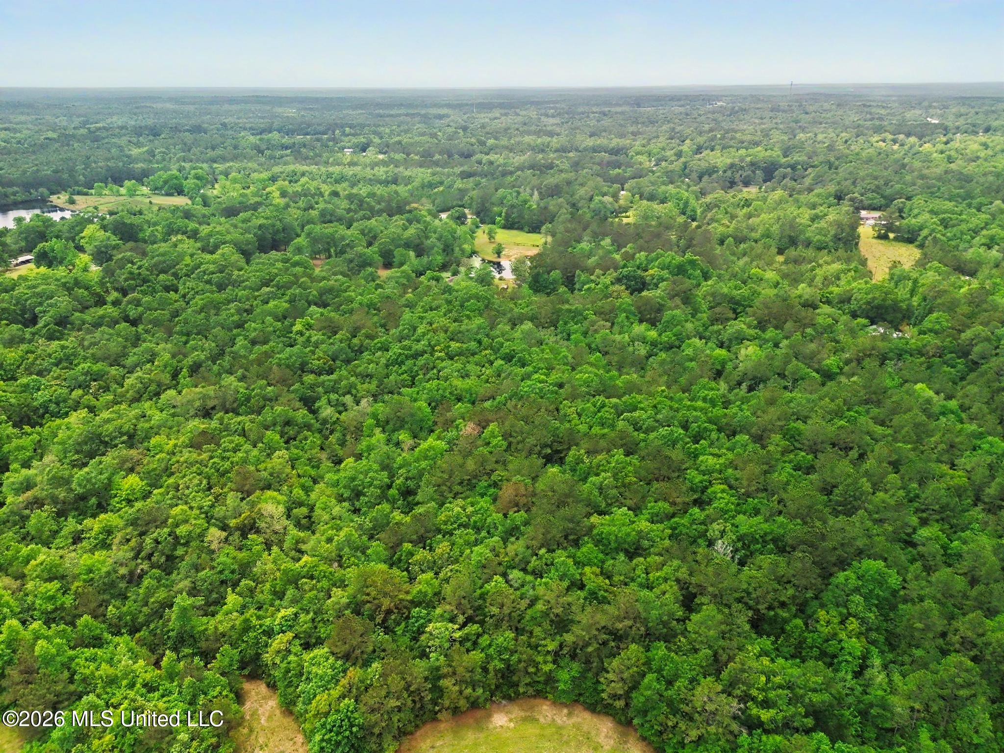 0 Henry House Road Saucier, MS 39574 - Photo 13 of 13 DJI_0141