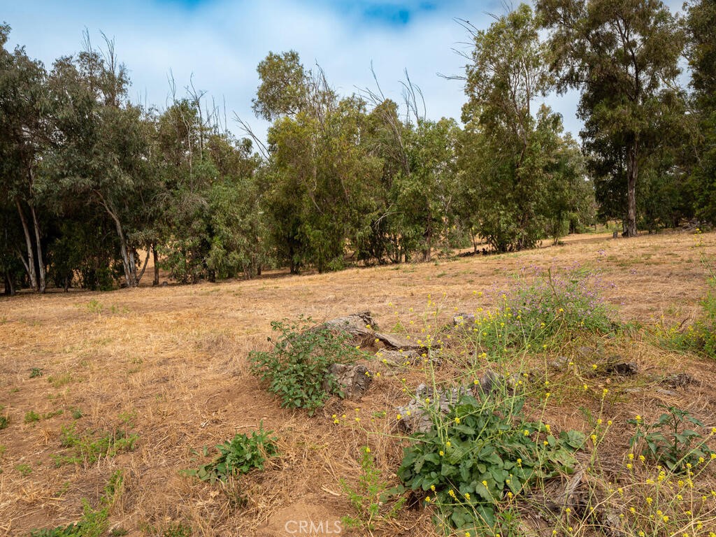 0 McDonald Road Fallbrook, CA 92028 - Photo 14 of 37 Gallery Image 14