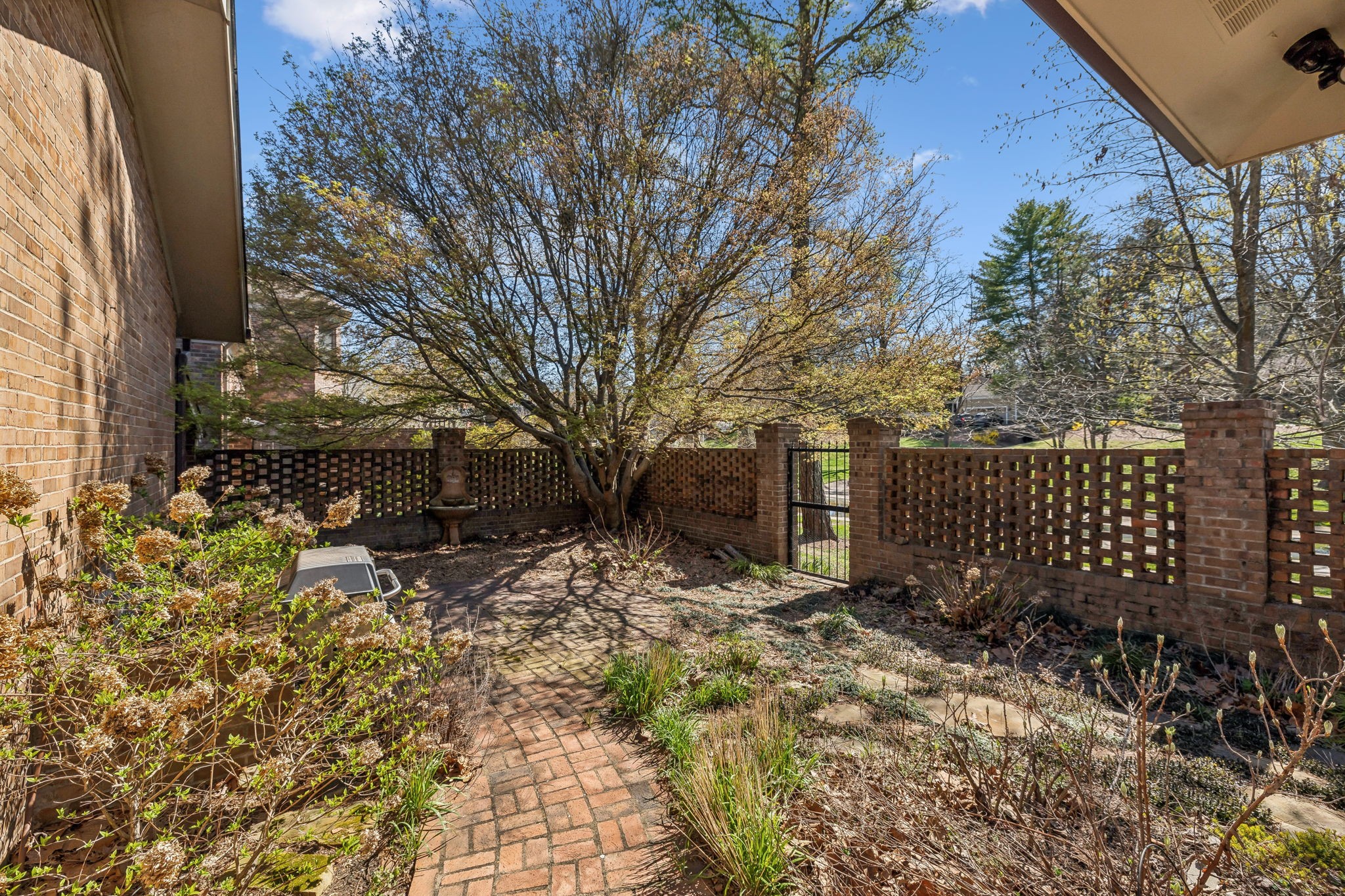 29 Washington Park Nashville, TN 37205 - Photo 42 of 60 a view of backyard and tree