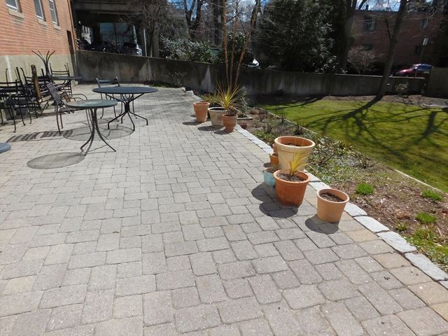 a view of yard with swimming pool and trees in the background