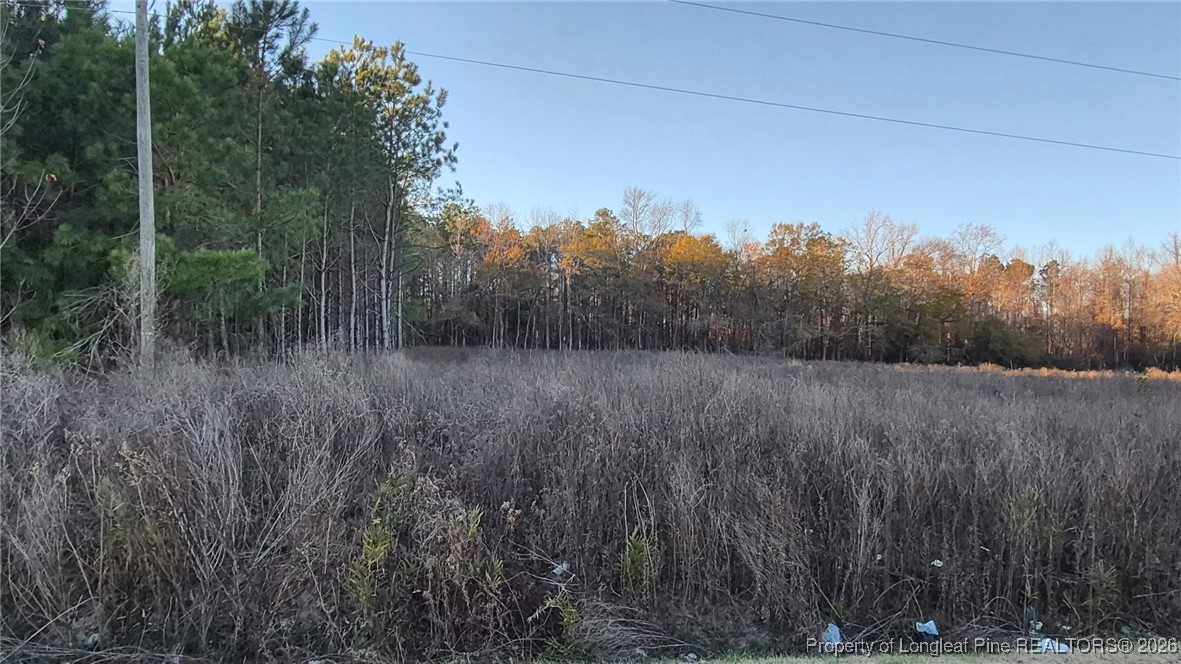 Old Stage Road Fairmont, NC 28340 - Photo 3 of 5 a view of a lush green forest