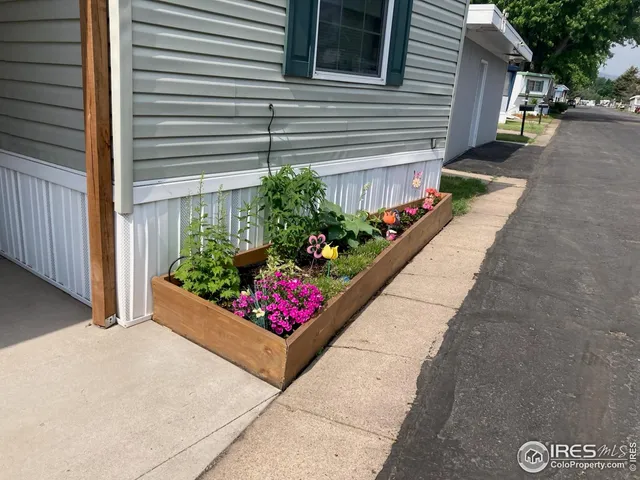 a view of a garden with flowers and flowers