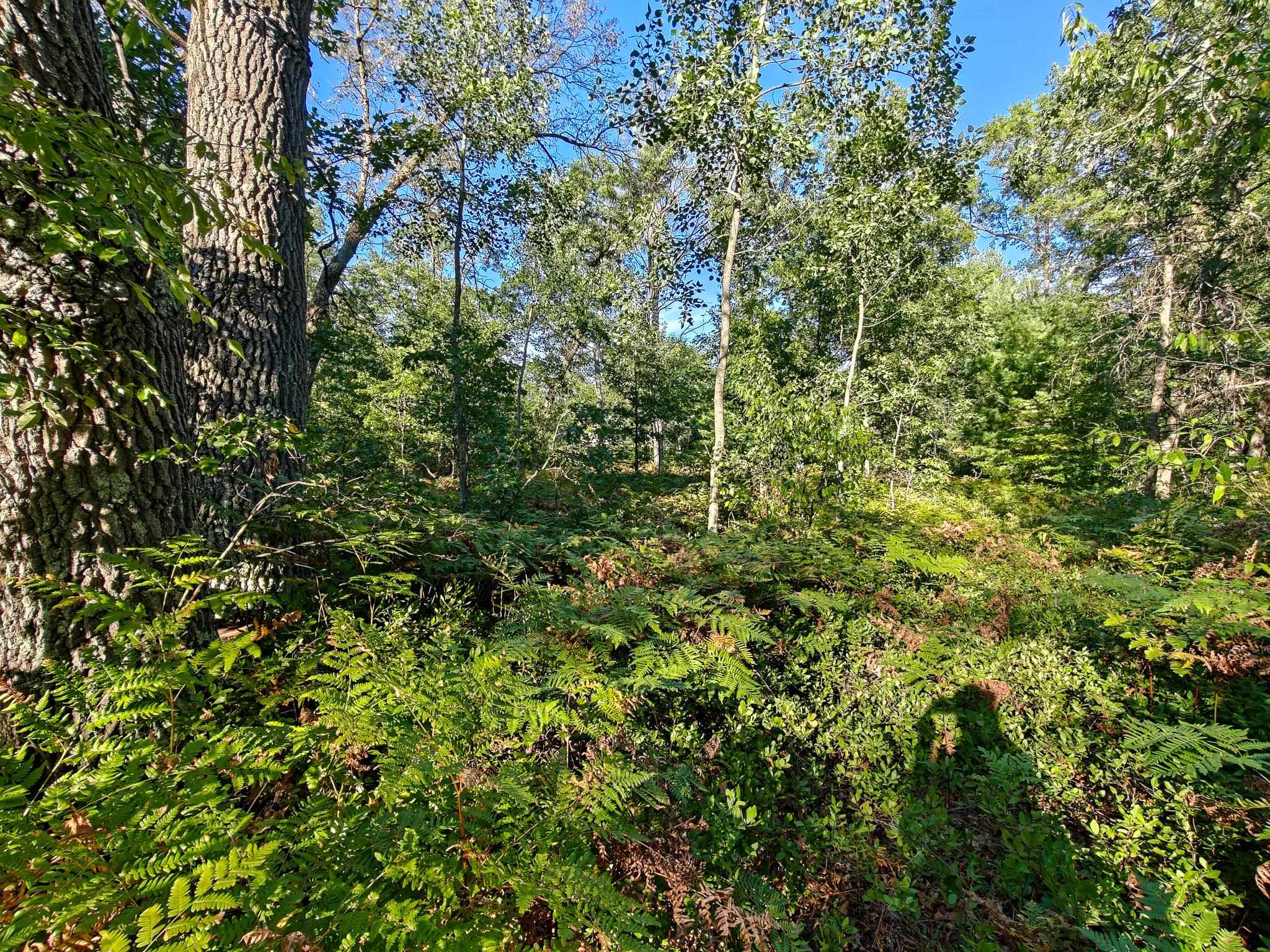 2541 Beatrice Road Harrison, MI 48625 - Photo 32 of 47 Gallery Image 32