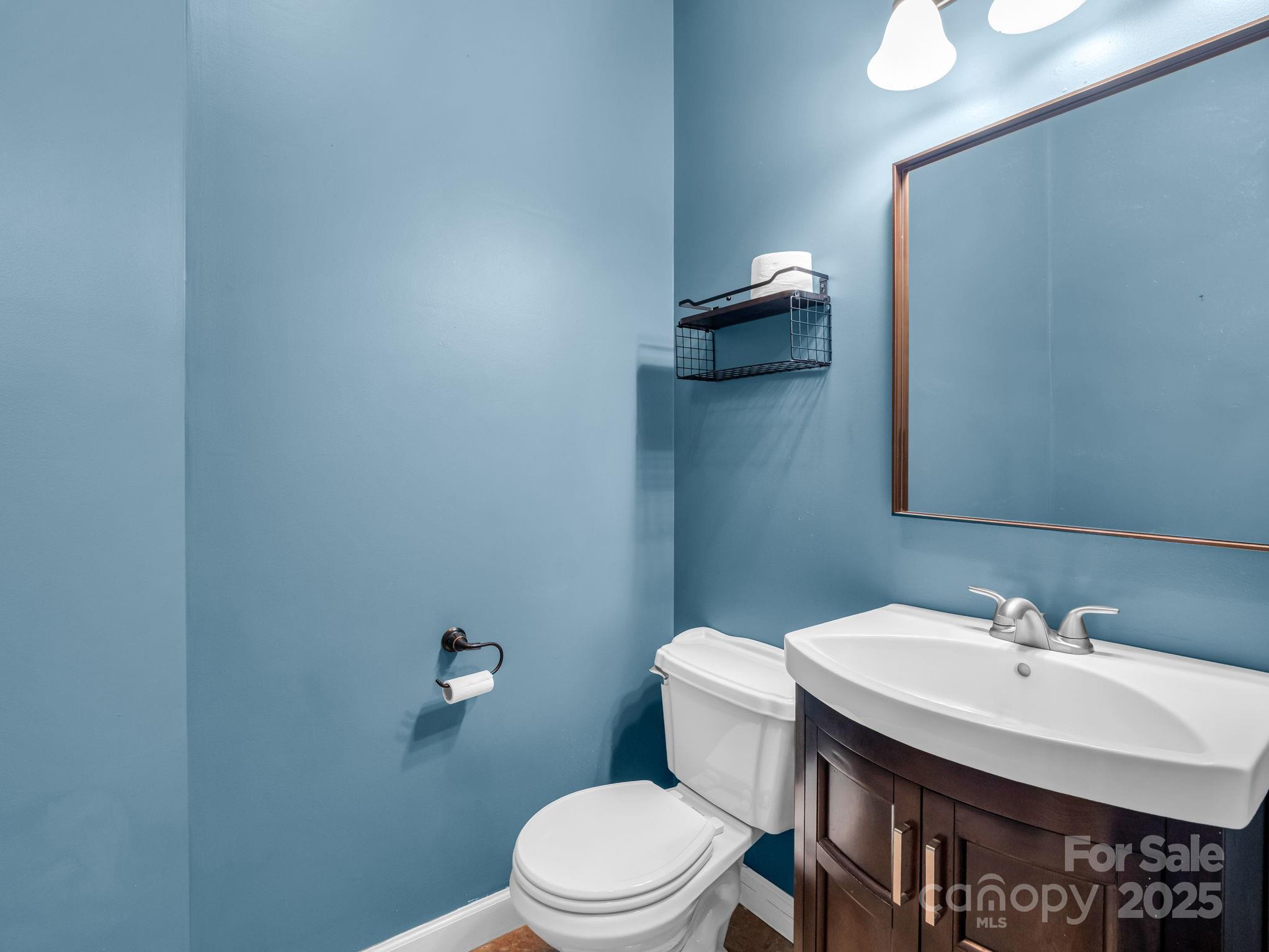 351 East Rambling Creek Drive Tryon, NC 28782 - Photo 24 of 48 a bathroom with a sink a toilet and mirror