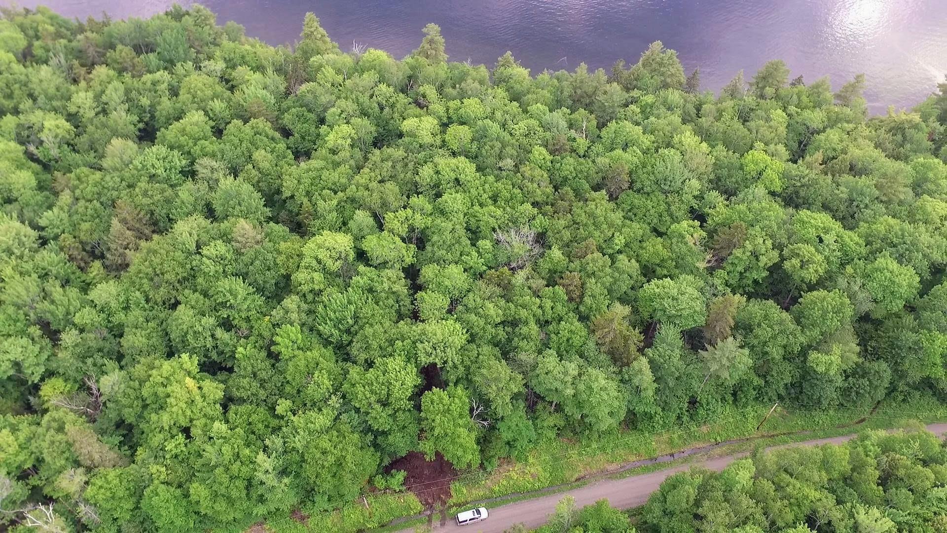 0 Railroad Bed Road Milo, ME 04463 - Photo 44 of 49 vlcsnap-2019-06-30-18h13m25s063