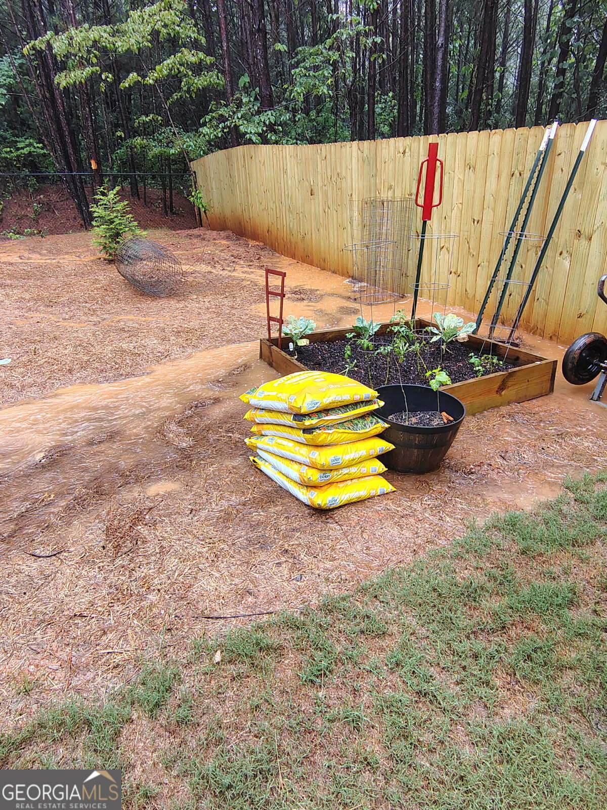 65 Magnolia Street Buchanan, GA 30113 - Photo 33 of 56 a view of swimming pool with a yard