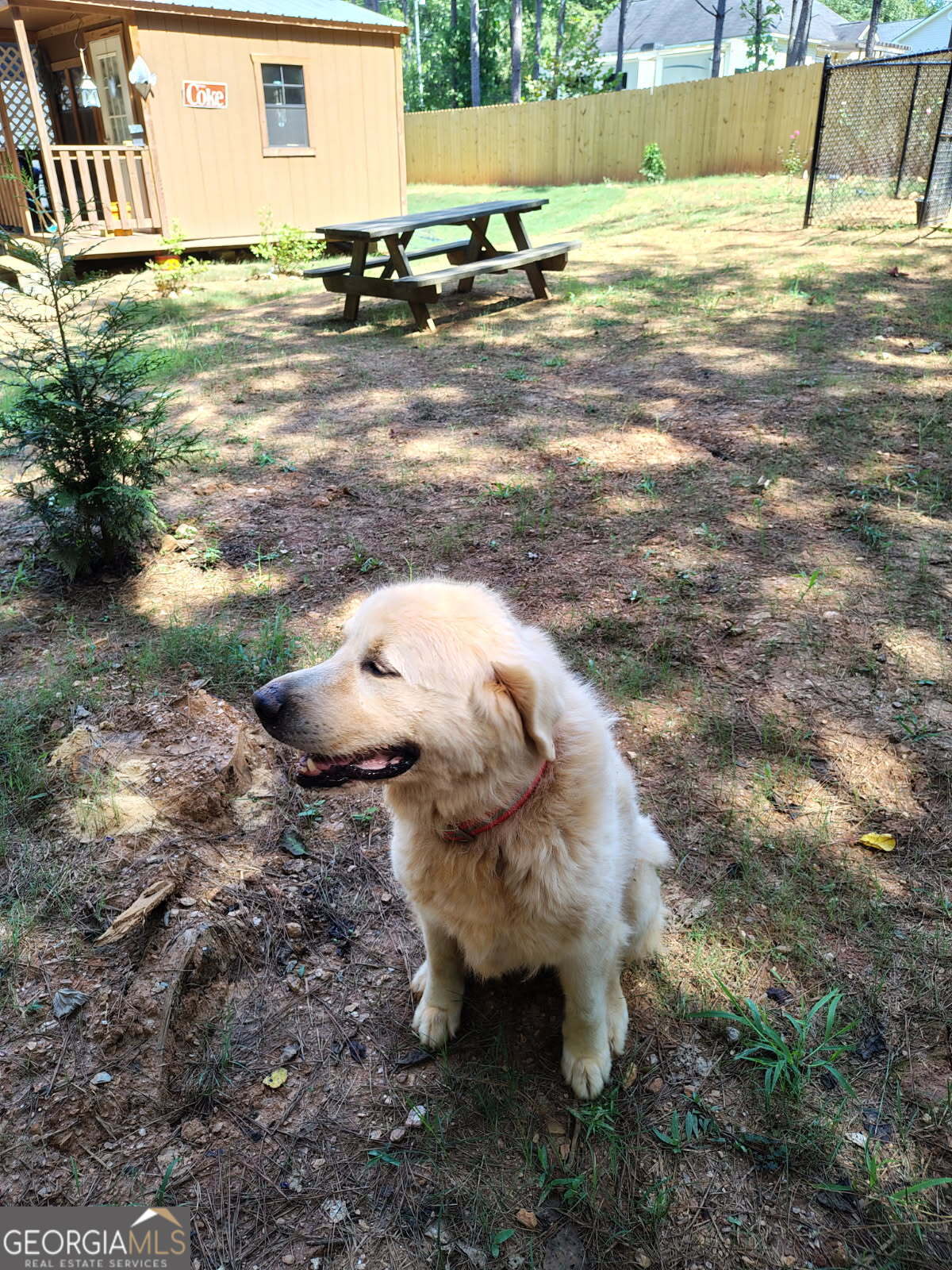 65 Magnolia Street Buchanan, GA 30113 - Photo 36 of 56