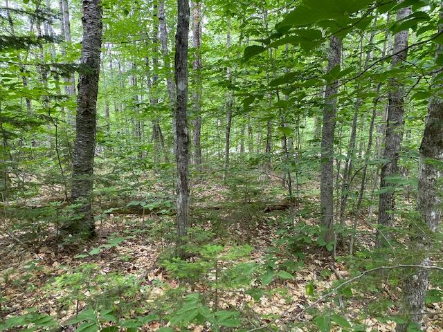154 Blanchard Road Shirley Mills, ME 04485 - Photo 7 of 12 IMG_2710