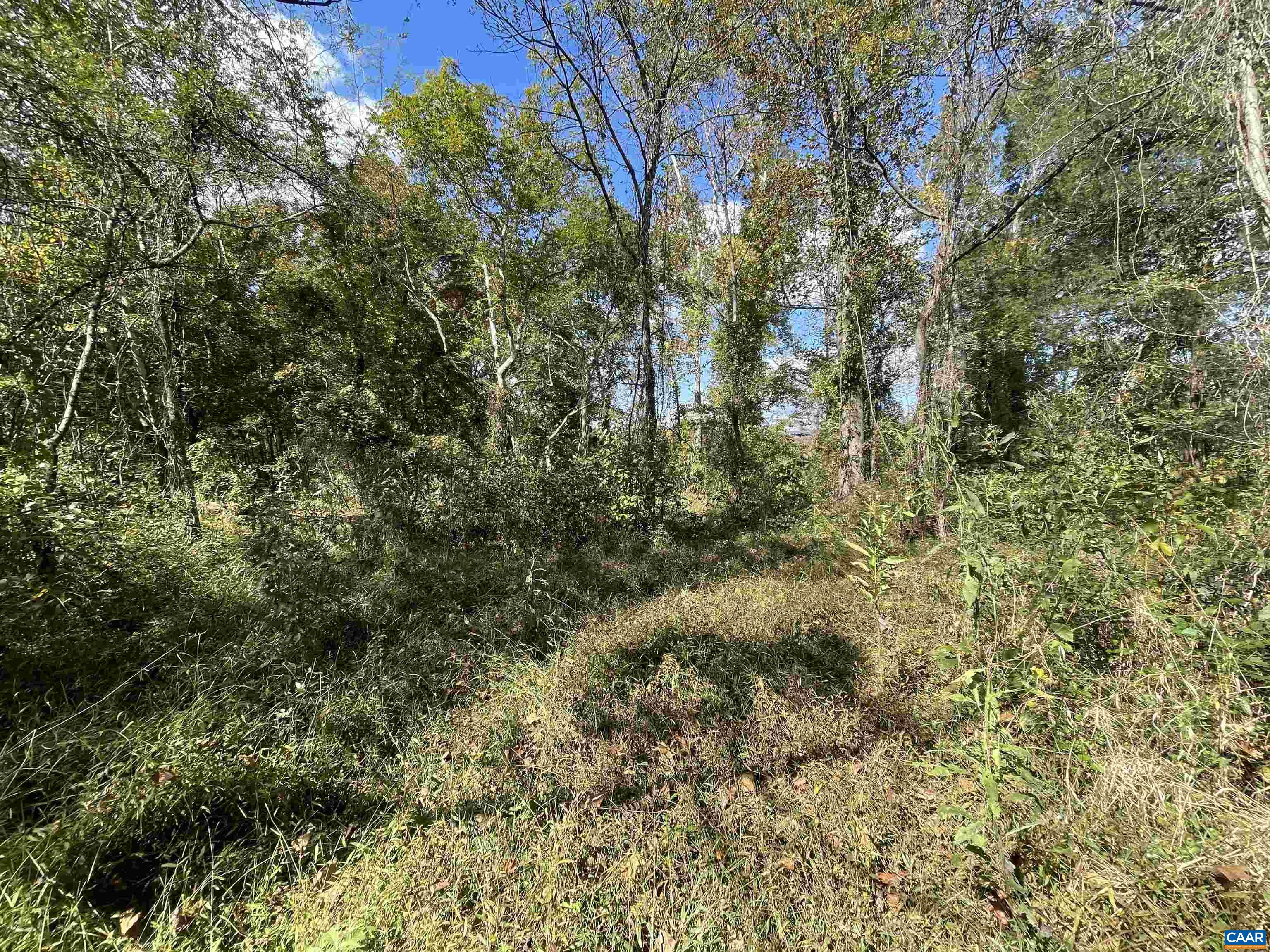 Land Lot Keith Road Stanardsville, VA 22973 - Photo 13 of 13 Gallery Image 13