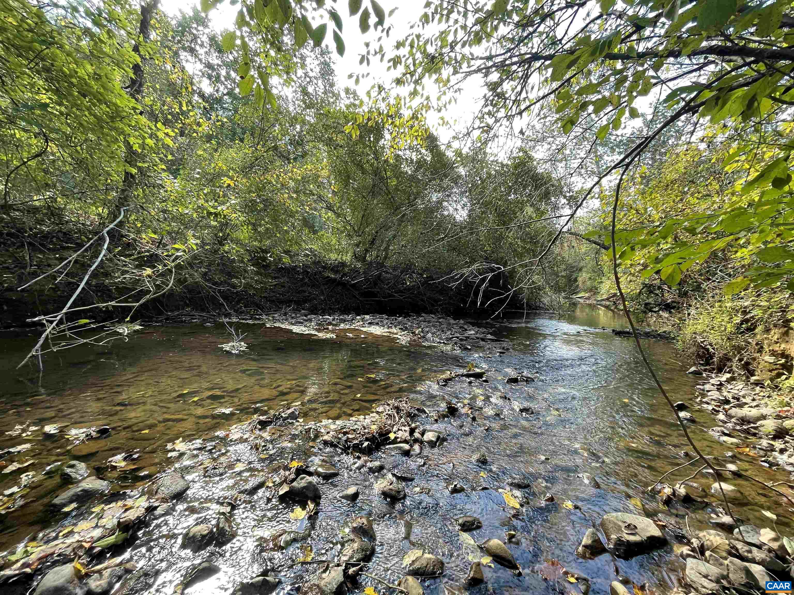 Land Lot Keith Road Stanardsville, VA 22973 - Photo 8 of 13 Gallery Image 8