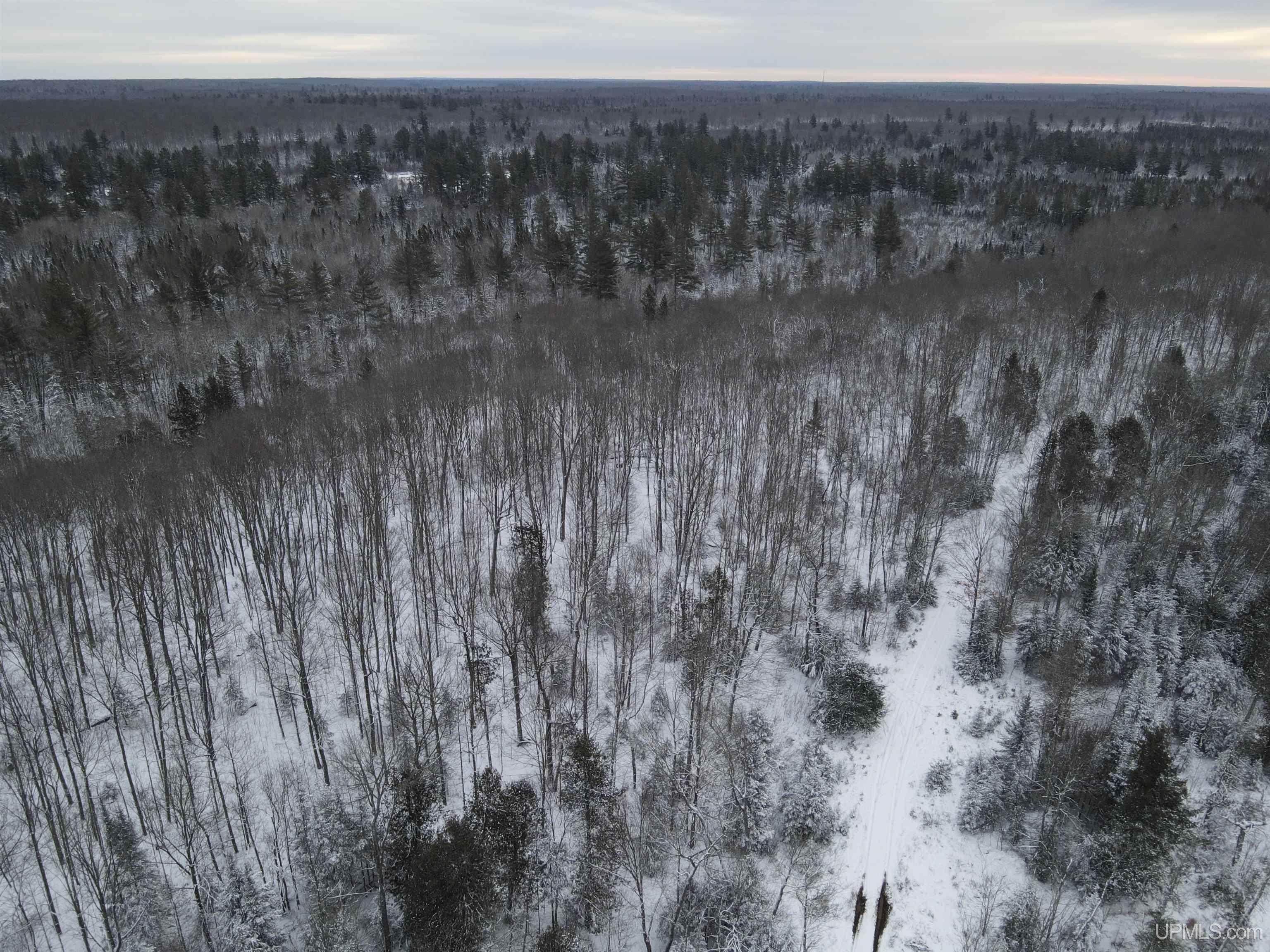 80-acr 80-acr Ford Road Watton, MI 49970 - Photo 2 of 17