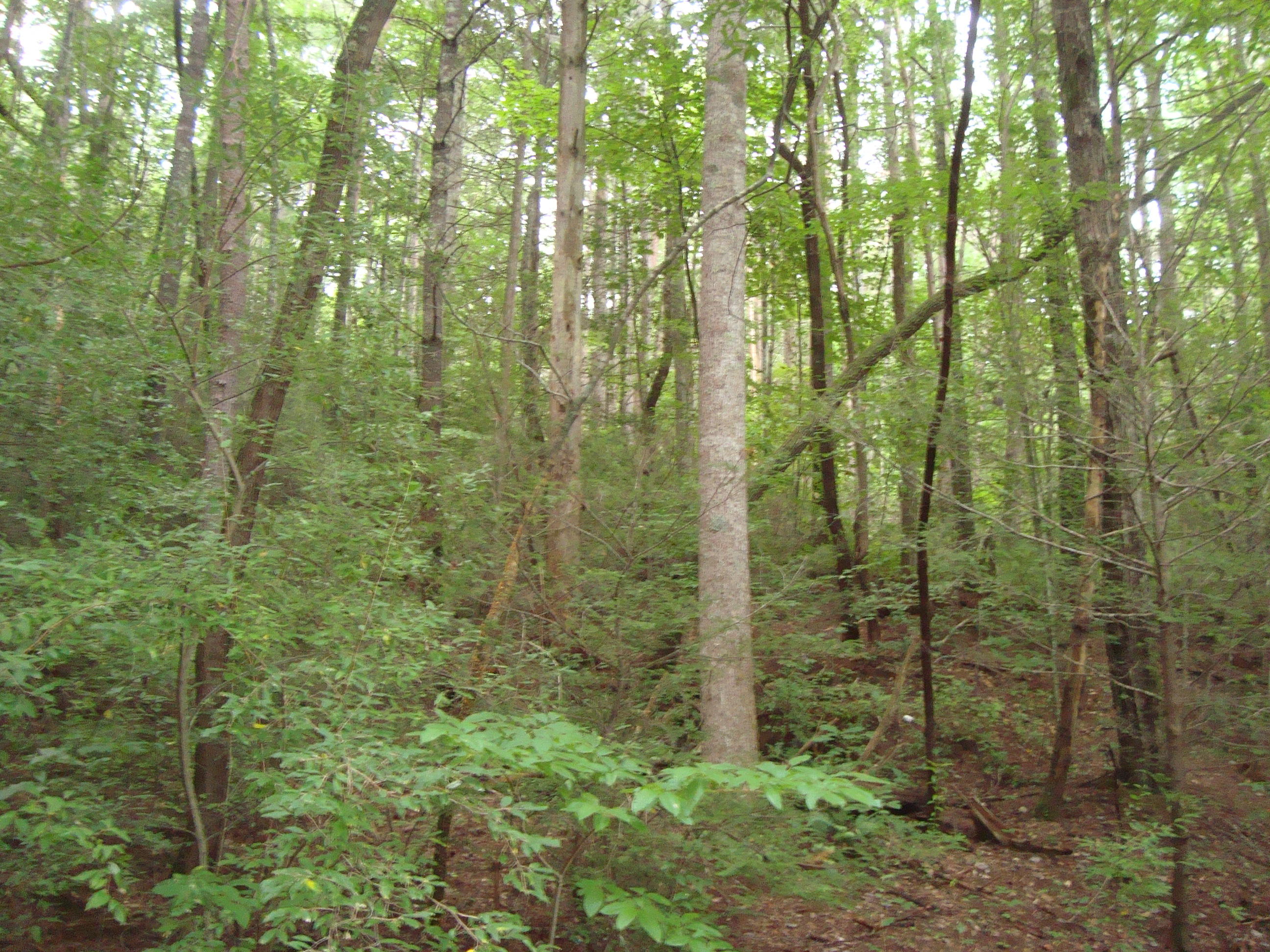 DSC06180