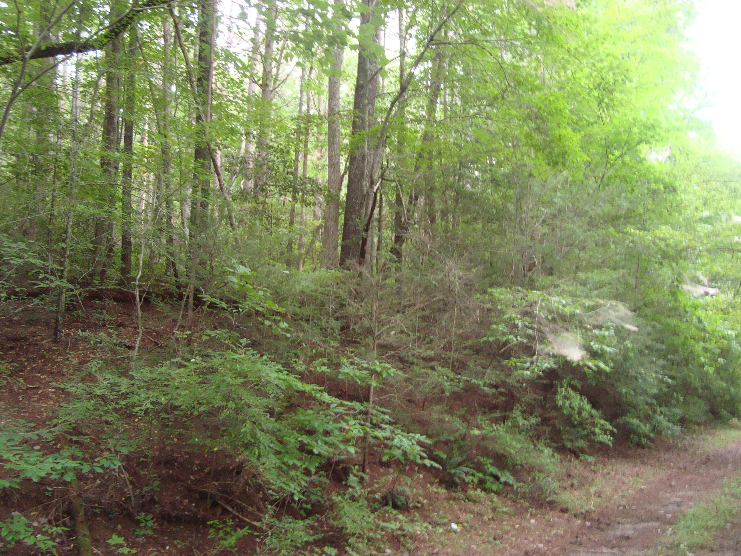 DSC06181