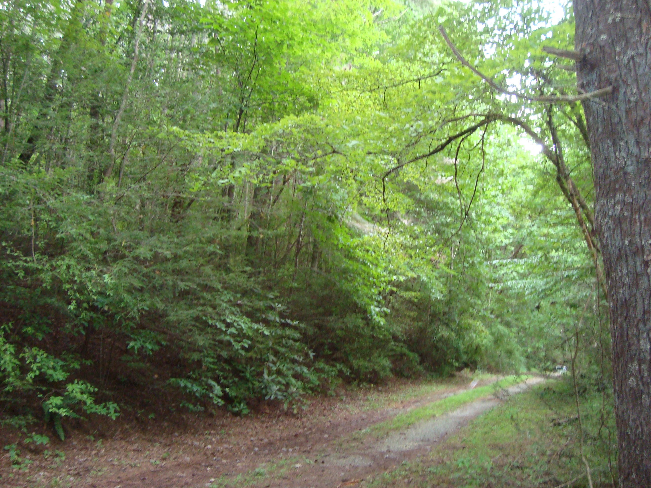 DSC06183