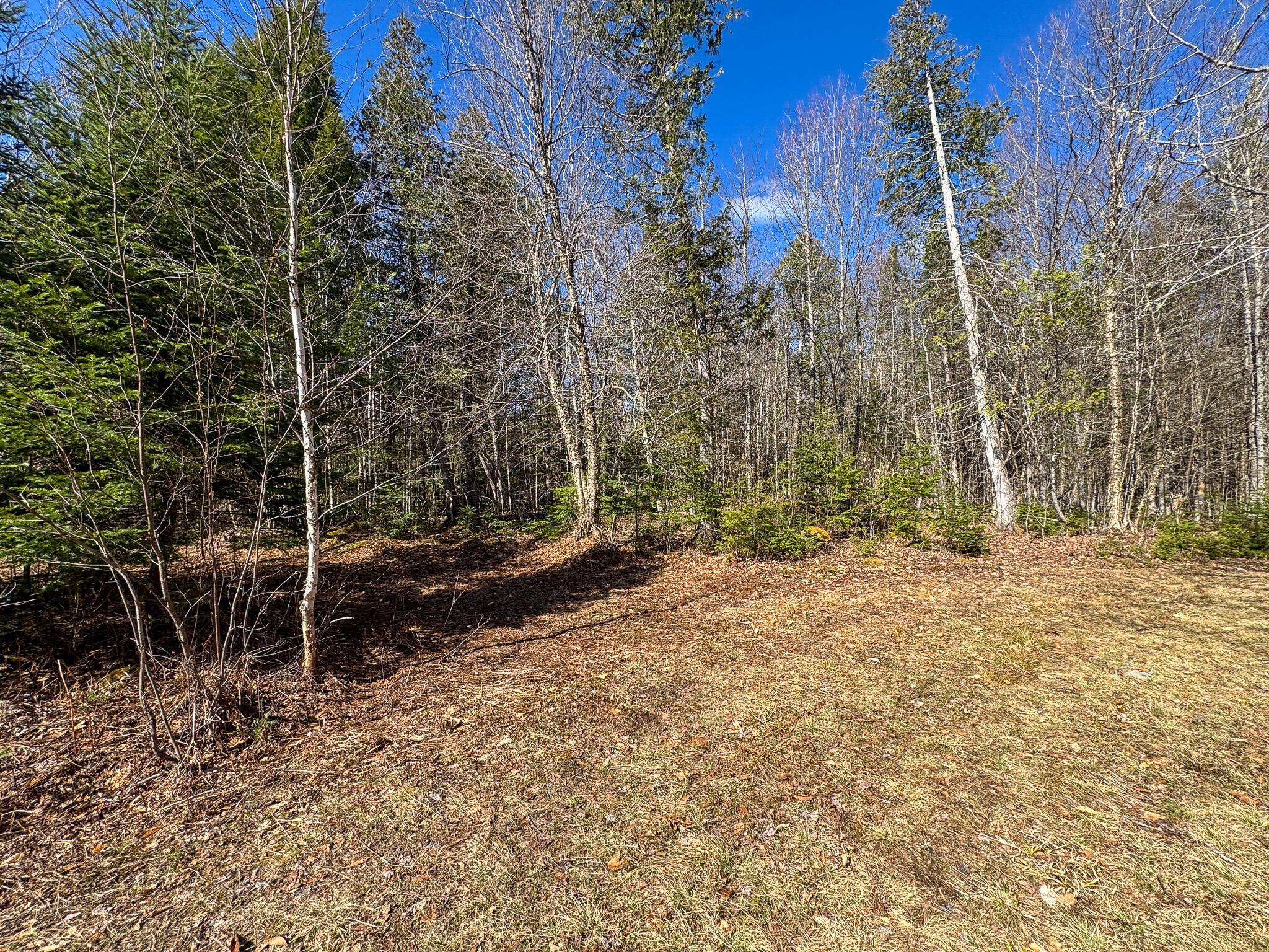 792 Valley Road Anson, ME 04911 - Photo 18 of 30 IMG_3878
