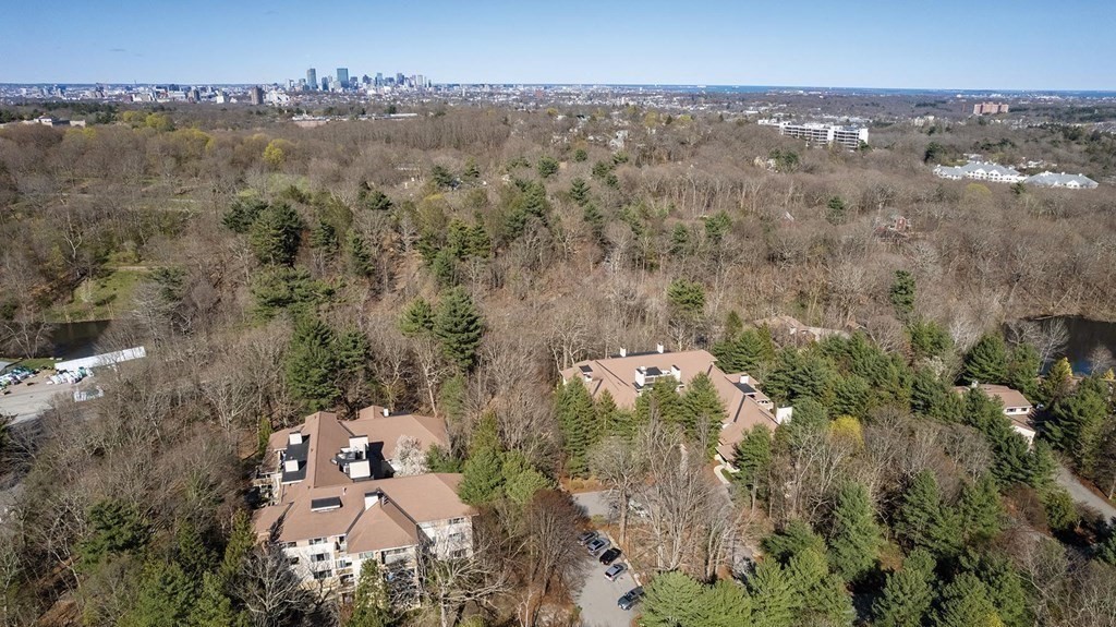 230 Allandale Road, Unit 230 Boston, MA 02467 - Photo 12 of 13