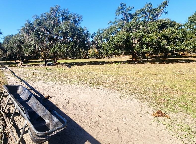 11419 Old Crystal River Road Brooksville, FL 34601 - Photo 19 of 89