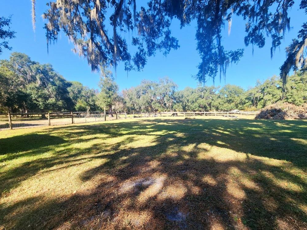 11419 Old Crystal River Road Brooksville, FL 34601 - Photo 71 of 89 a view of a big yard with large trees