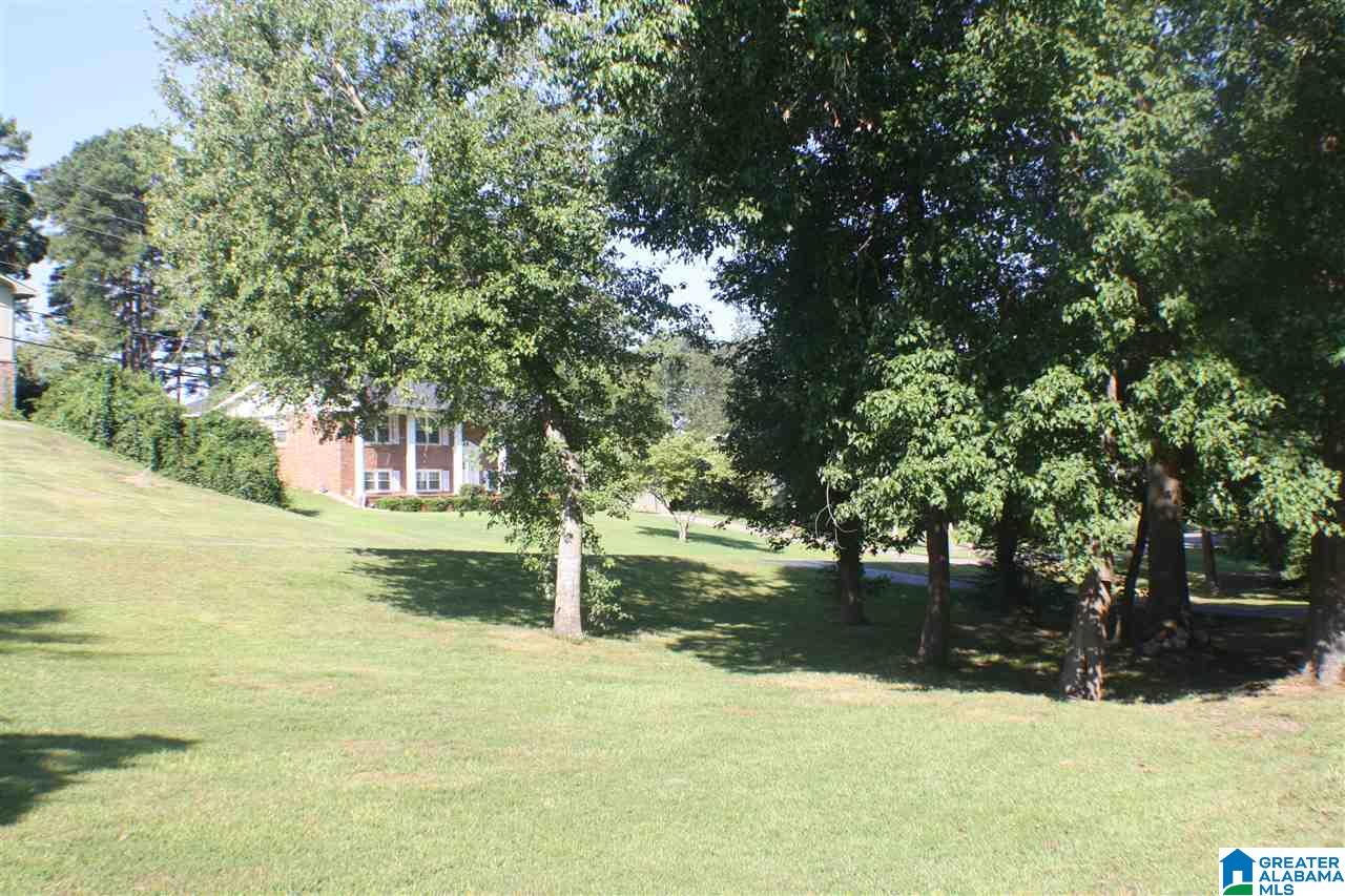 423 Cherokee Trail Anniston, AL 36206 - Photo 31 of 38